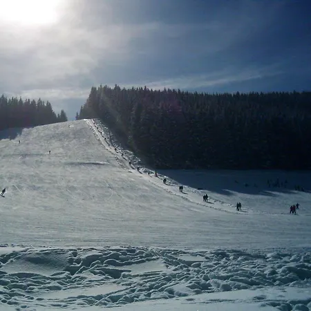 Ferienhaus Schwoerer 度假居 费尔德伯格